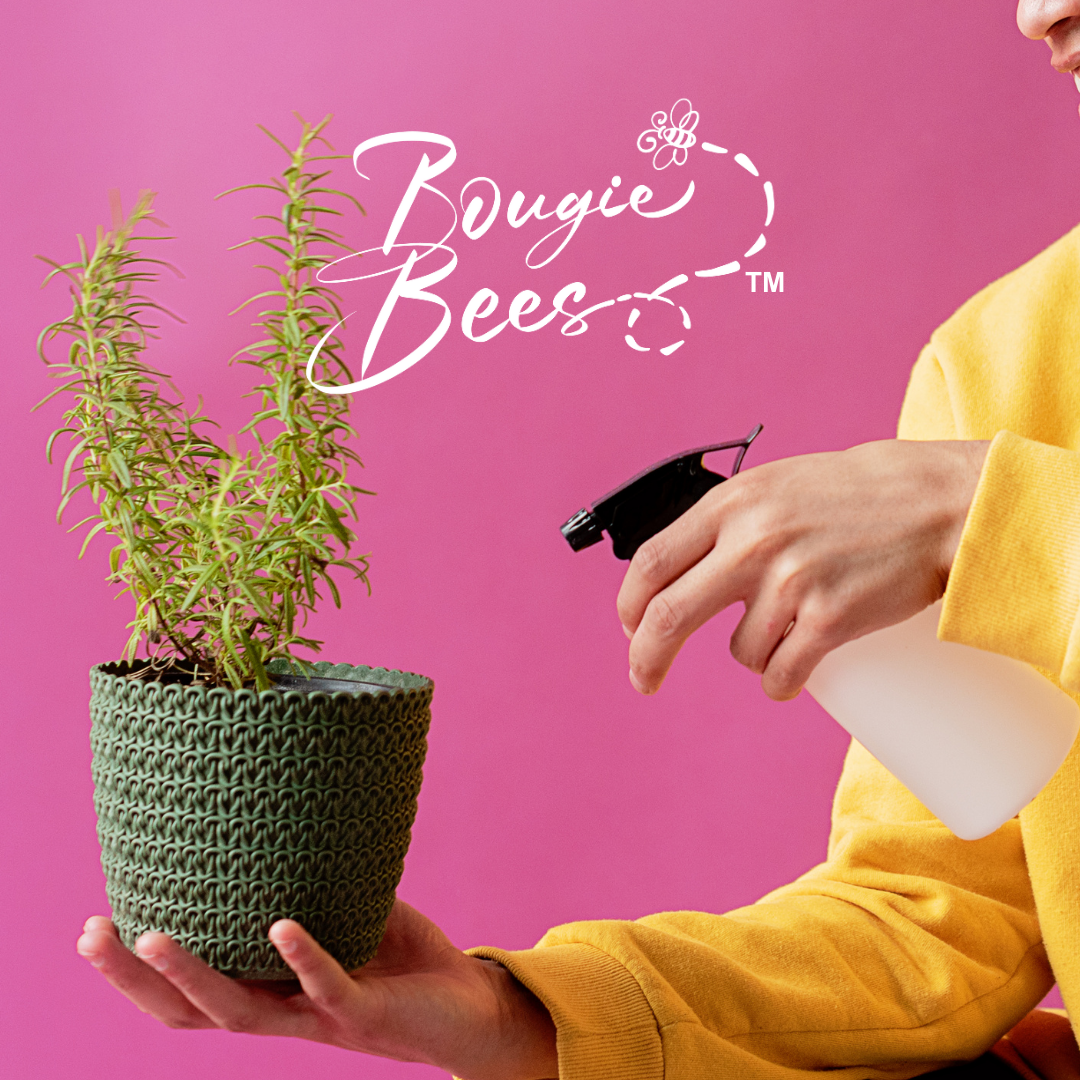 Bougie Bees Plant Spray