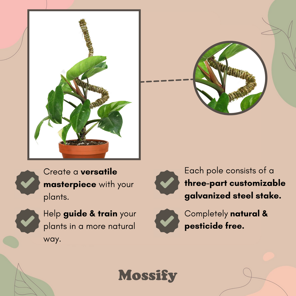 Mossify® Bendable Moss Pole™