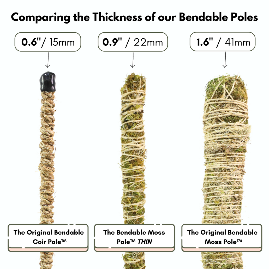 Mossify® Bendable Moss Pole™