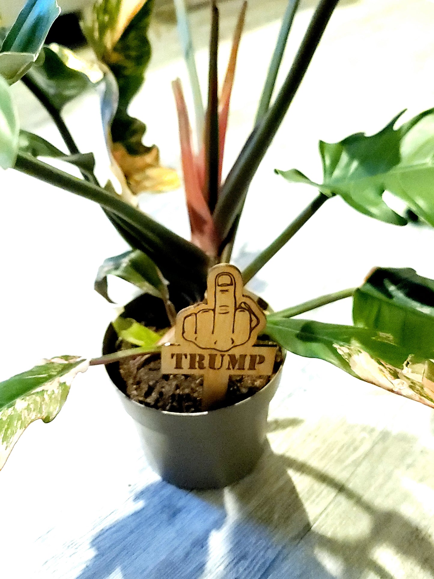 🖕🏻 Plant Stake